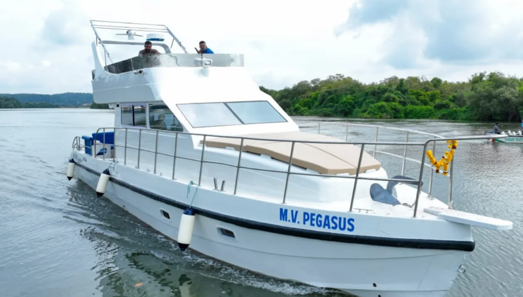 Pegasus 2