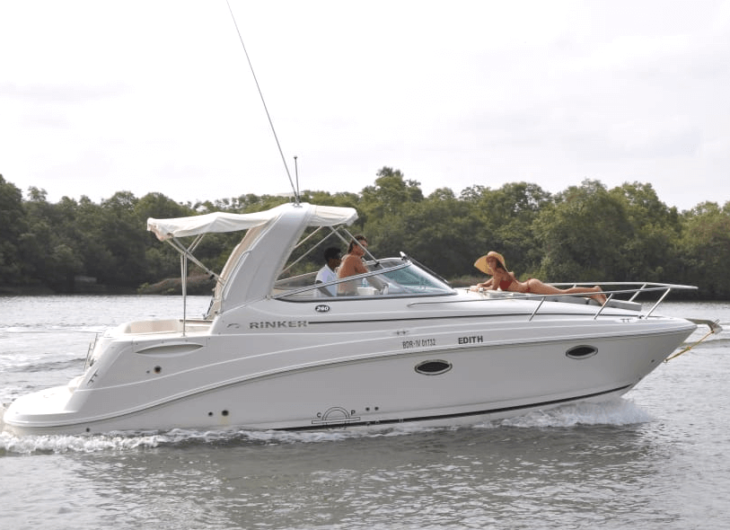 Rinker 2