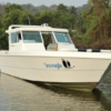 Sea-Eagle