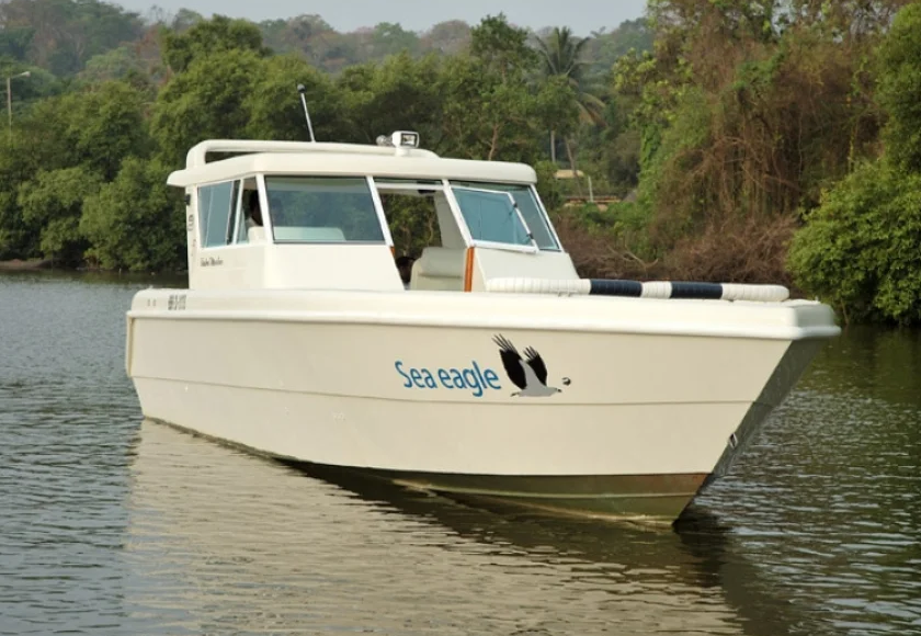 Sea-Eagle