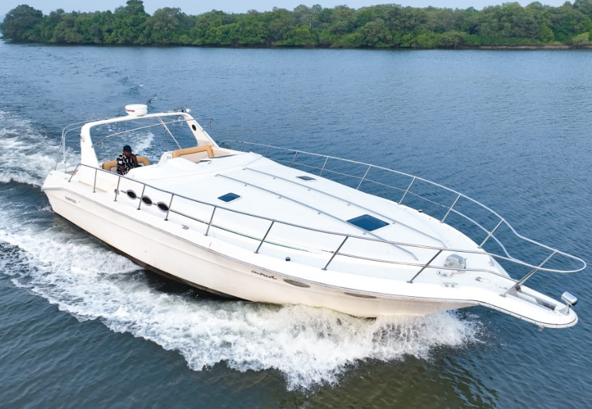 Searay 330 Yachts